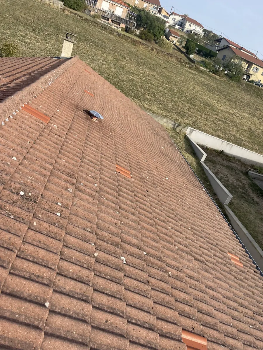 Réalisation de démoussage de toiture par un couvreur dans la Loire